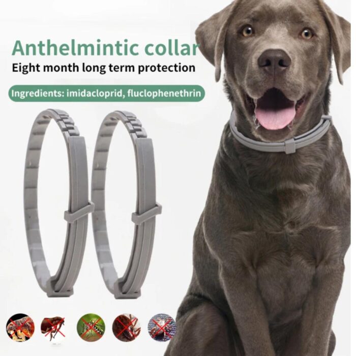 Veterinary Anti Flea & Tick Collar for Pets - Large & Small Sizes